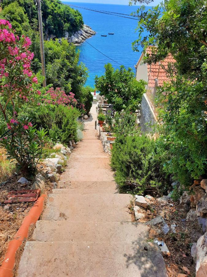 Belleview Apartments Vrbica Dubrovnik Buitenkant foto